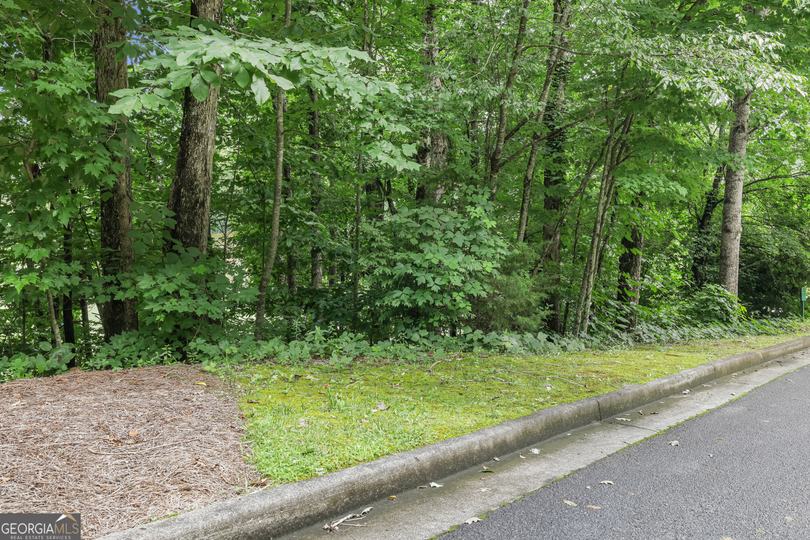 Lot G1 Waterfall DR, Clayton, GA - Image #12