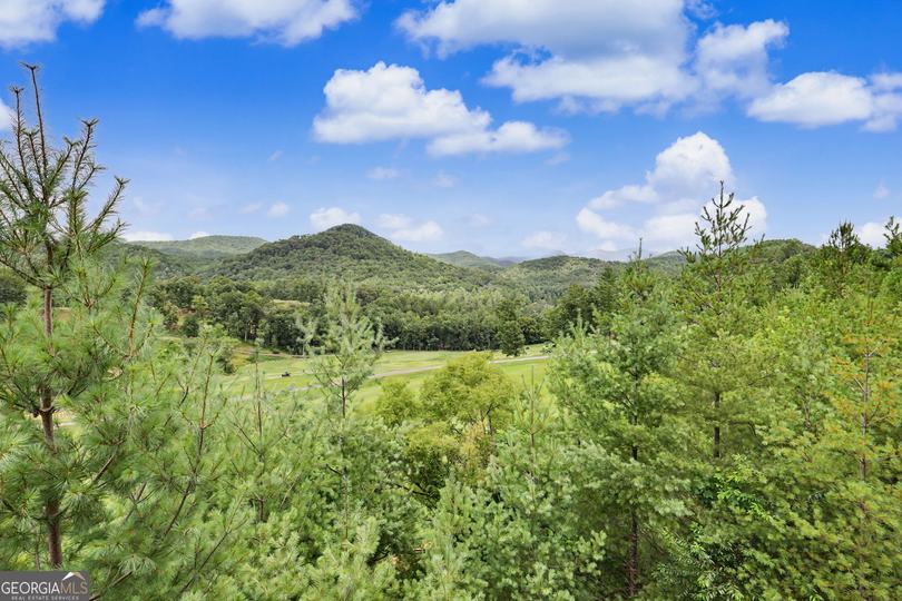 394 Bent Grass Way, Clayton, GA - Image #48