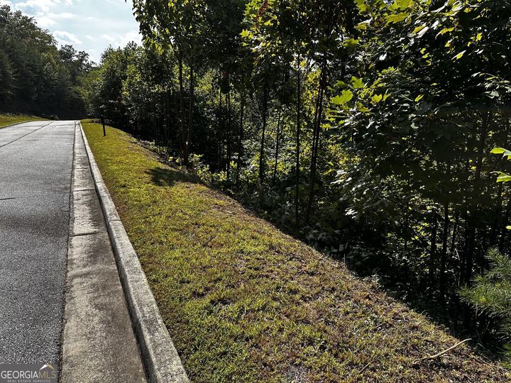 Lot J-12 Winterberry Trl, Clayton, GA - Image #3