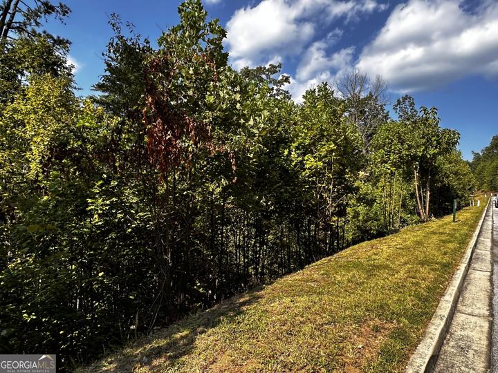 Lot J-12 Winterberry Trl, Clayton, GA - Image #6
