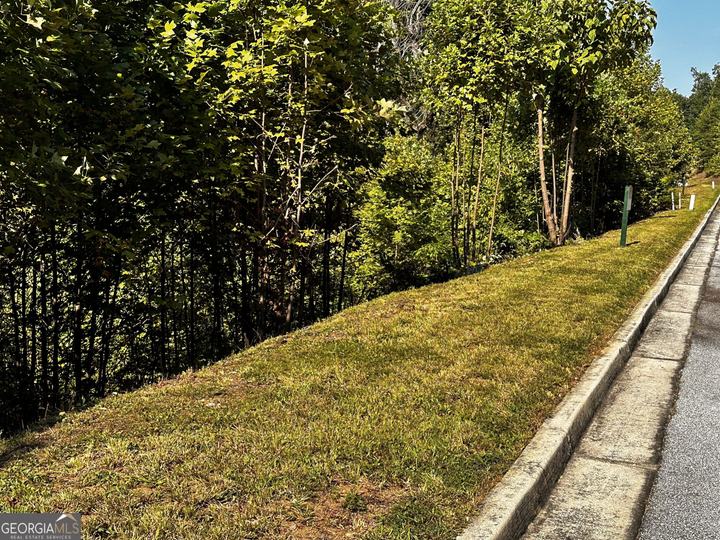 Lot J-12 Winterberry Trl, Clayton, GA - Image #7