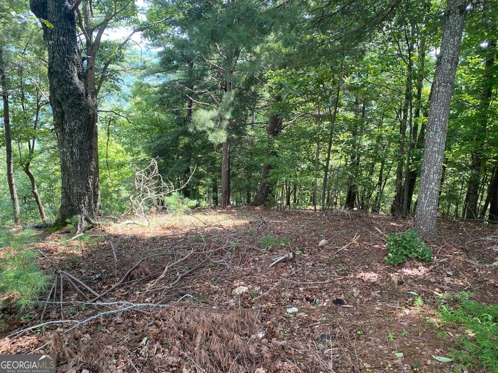 Lot 29 Lake Rabun Bluffs DR, Lakemont, GA - Image #3