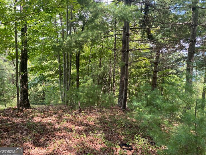 Lot 29 Lake Rabun Bluffs DR, Lakemont, GA - Image #4