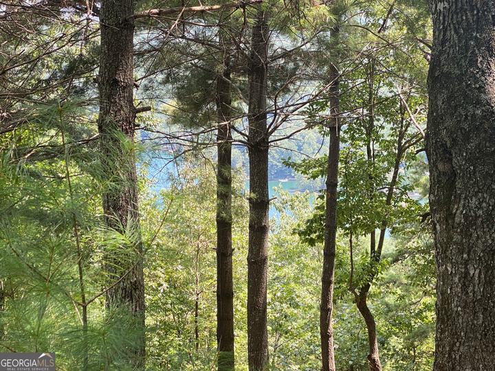 Lot 29 Lake Rabun Bluffs DR, Lakemont, GA - Image #5