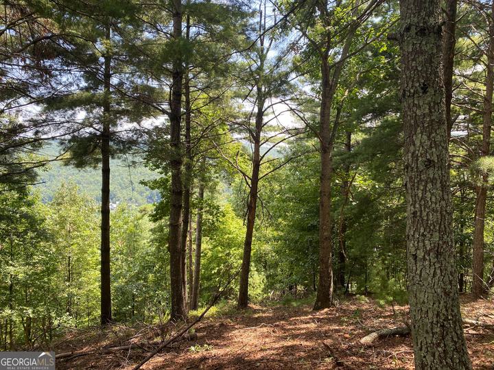 Lot 29 Lake Rabun Bluffs DR, Lakemont, GA - Image #6