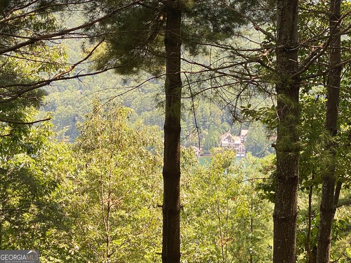Lot 29 Lake Rabun Bluffs DR, Lakemont, GA - Image #7