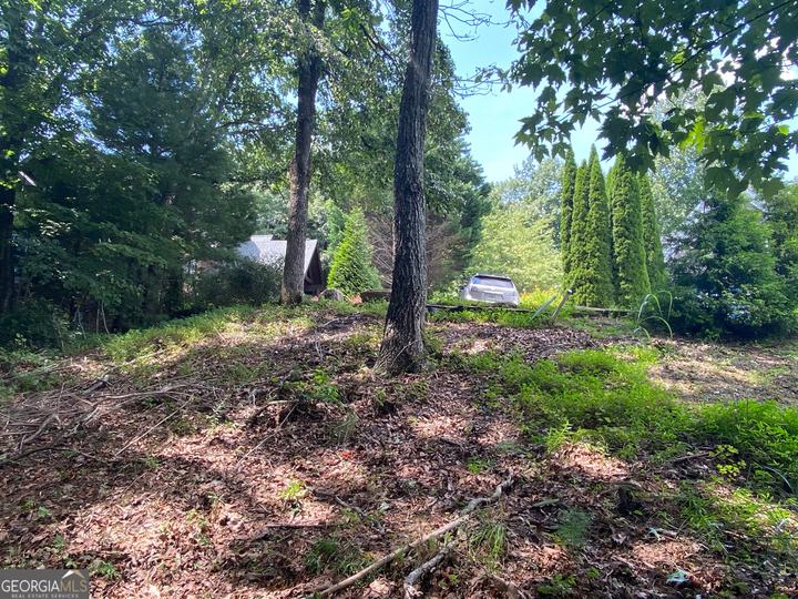 Lot 29 Lake Rabun Bluffs DR, Lakemont, GA - Image #8