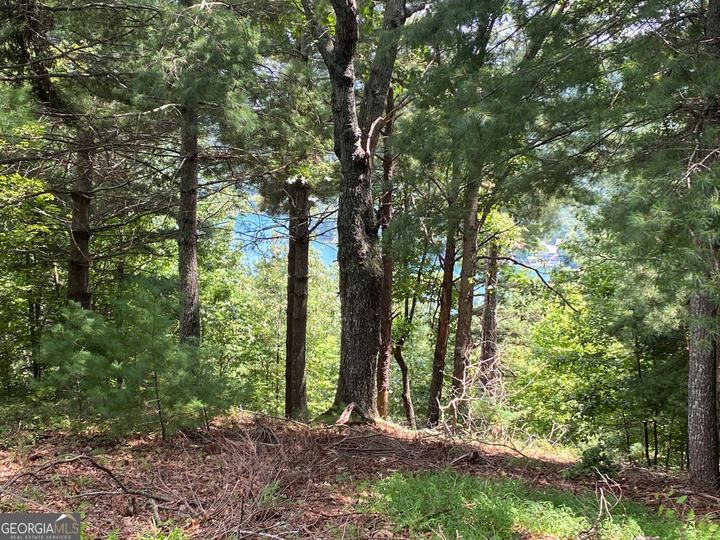 Lot 29 Lake Rabun Bluffs DR, Lakemont, GA - Image #9