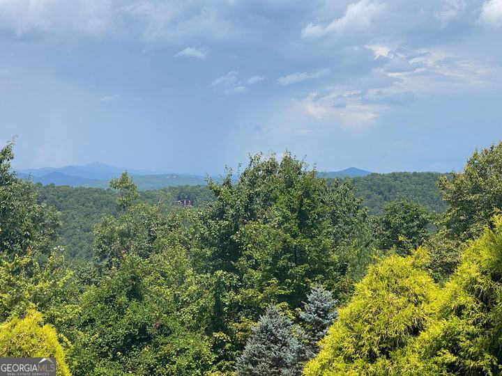Lot 29 Lake Rabun Bluffs DR, Lakemont, GA - Image #10