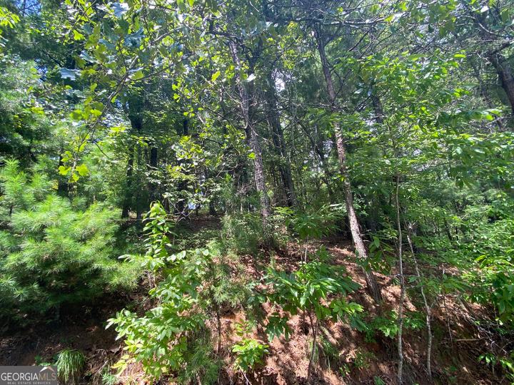 Lot 29 Lake Rabun Bluffs DR, Lakemont, GA - Image #11