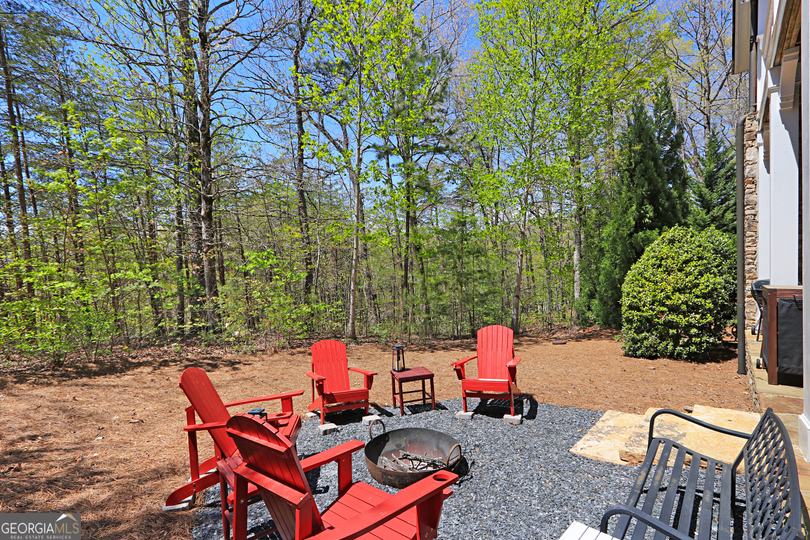 227 Village Club Trl, Clayton, GA - Image #51