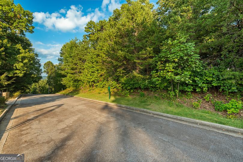 Grey Fox Trail B11, Clayton, GA - Image #17