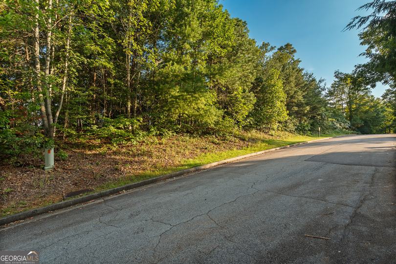 Grey Fox Trail B11, Clayton, GA - Image #18