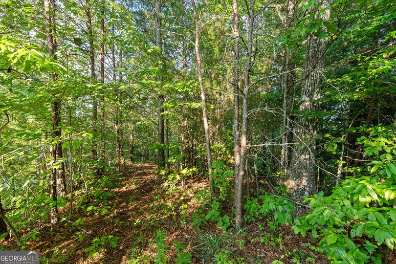Grey Fox Trail B11, Clayton, GA - Image #19