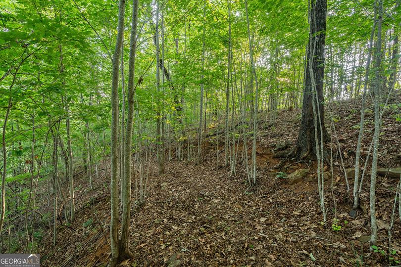 Grey Fox Trail B11, Clayton, GA - Image #20