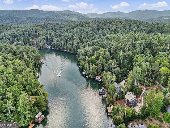 493 Kings Row RD, Lakemont, GA - Image #95