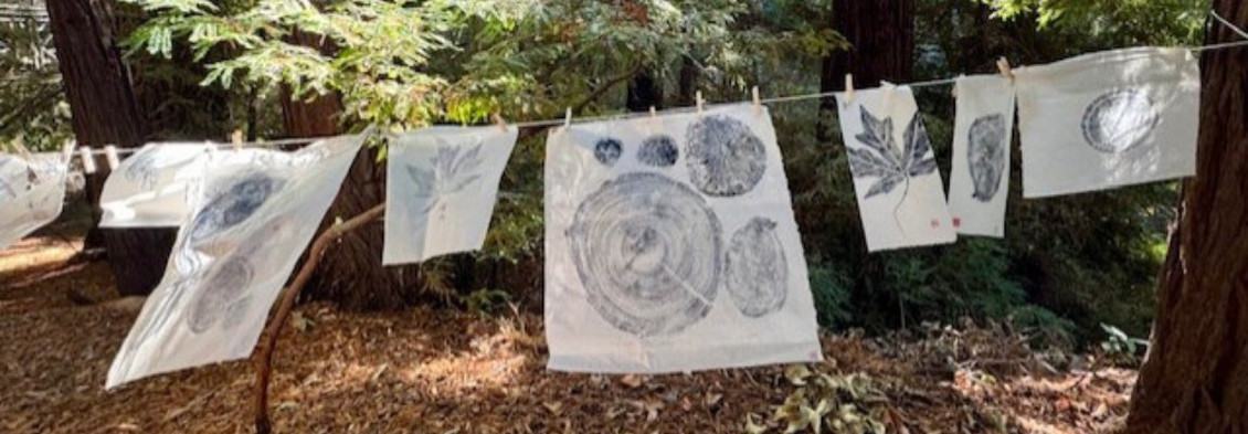 Nature Printing Workshop with artist Elizabeth Murray