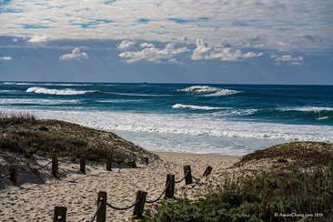 Image about Asilomar Beach