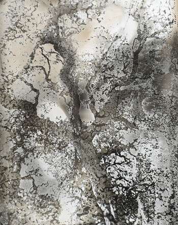 Image About Jane Olin: Some Trees