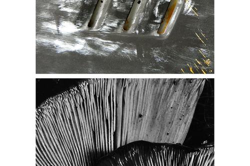 Paint&Nature-Nature&Paint#1, 2023