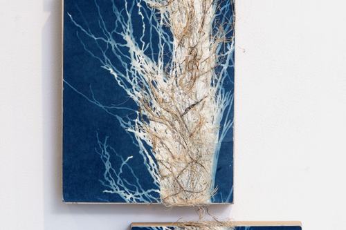 Deconstructing Nature Triptych (seed Pod), 2024
