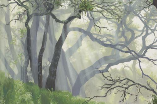 Oaks in the Mist, 2024