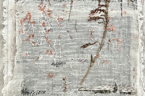 In A Field of Red Dock - Excerpt from The Lighthouse Field Journals, 2024