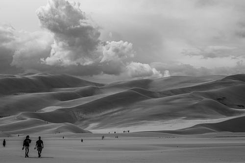 Endless Sands, 2024