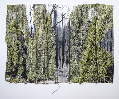 Sierra Burn Scar #1, 2022