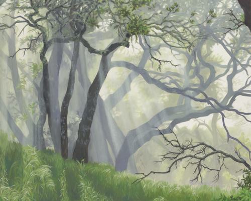 Oaks in the Mist, 2024