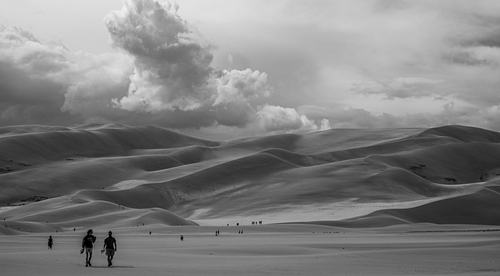Endless Sands, 2024