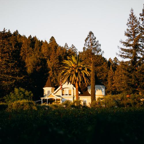 Grace Family Vineyard: Image #286