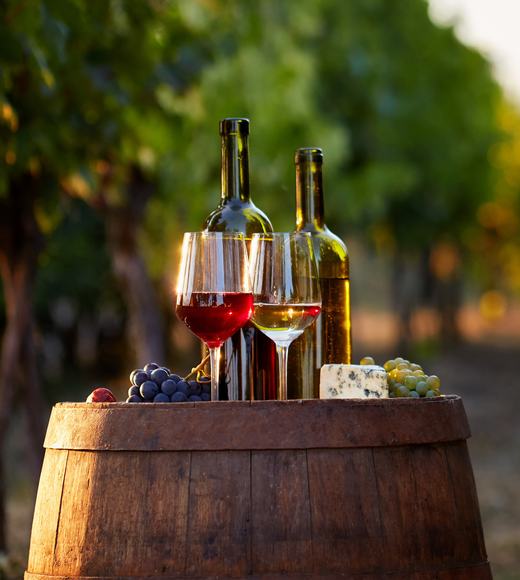 Time & Terroir: Image #30