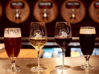 The Wine Experience - wine and beer