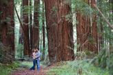 Big Sur Roadhouse and Glen Oaks Big Sur - Photo 2 (Thumbnail)
