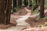 Big Sur Roadhouse and Glen Oaks Big Sur - Photo 3 (Thumbnail)