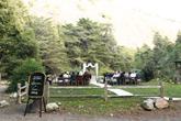 Fernwood Resort - Photo 2 (Thumbnail)