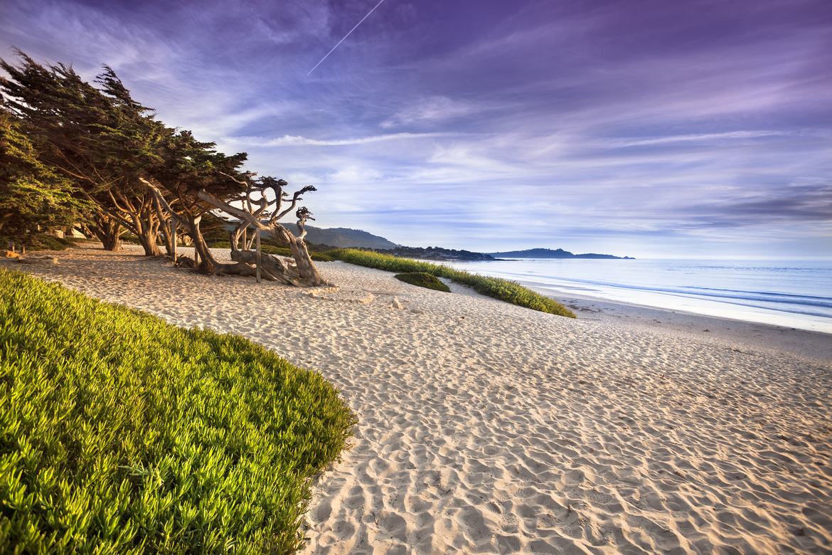 Image about Horizon Inn & Ocean View Lodge #37-1