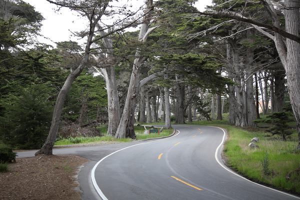 Pebble Beach & 17-Mile Drive