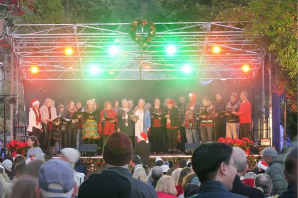 Image about Holiday Tree Lighting Celebration