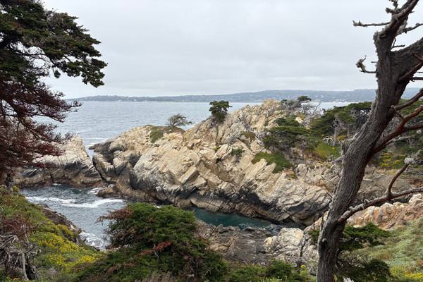 Image about Point Lobos: Where Your Carmel Stay Slows Down