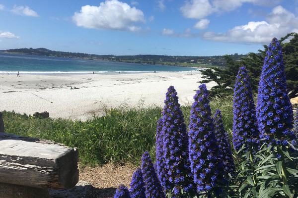Image about Rudy's Recs: Why the Week After Car Week Is the Best Time for Your First Visit to Carmel