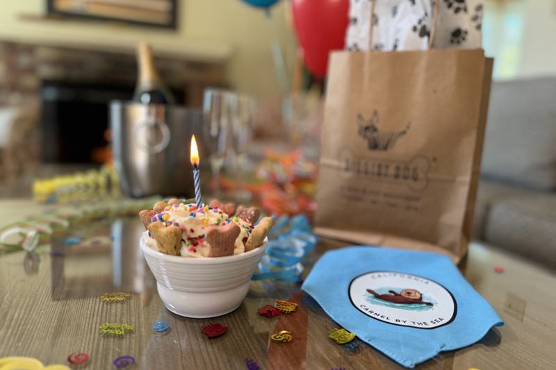 Pup Party Package