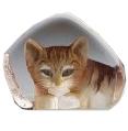 Mats Jonasson® Cats