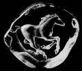 Mats Jonasson® Horses