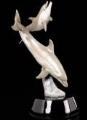 Dolphins