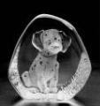 Mats Jonasson® Cats & Dogs