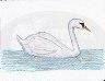 Swan Ware