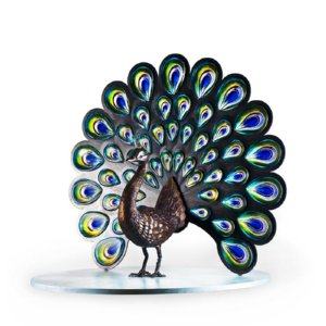 Peacock Ltd Ed