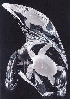 Turtle Spirit